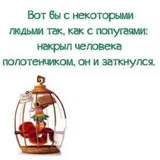 Как укрыть без матов
