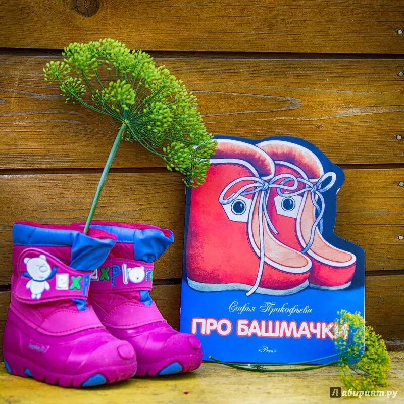 Про башмак. Про башмак