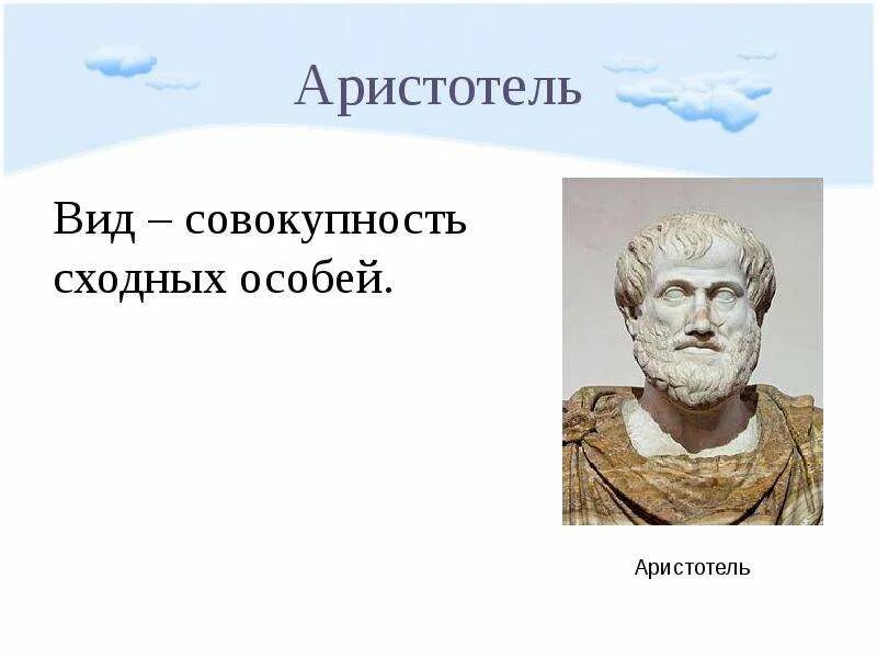 Презентация на тему справедливость. Аристотель. Пороки по аристотелю. Мудрые мысли аристотеля. Поступок полагал аристотель может быть.
