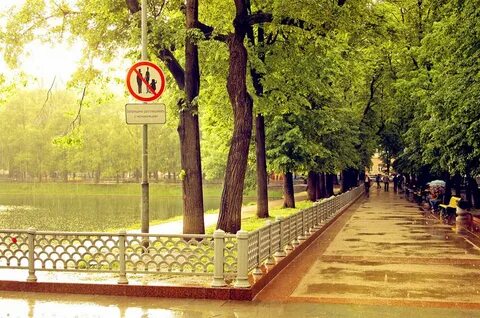 Патриаршие пруды мастер