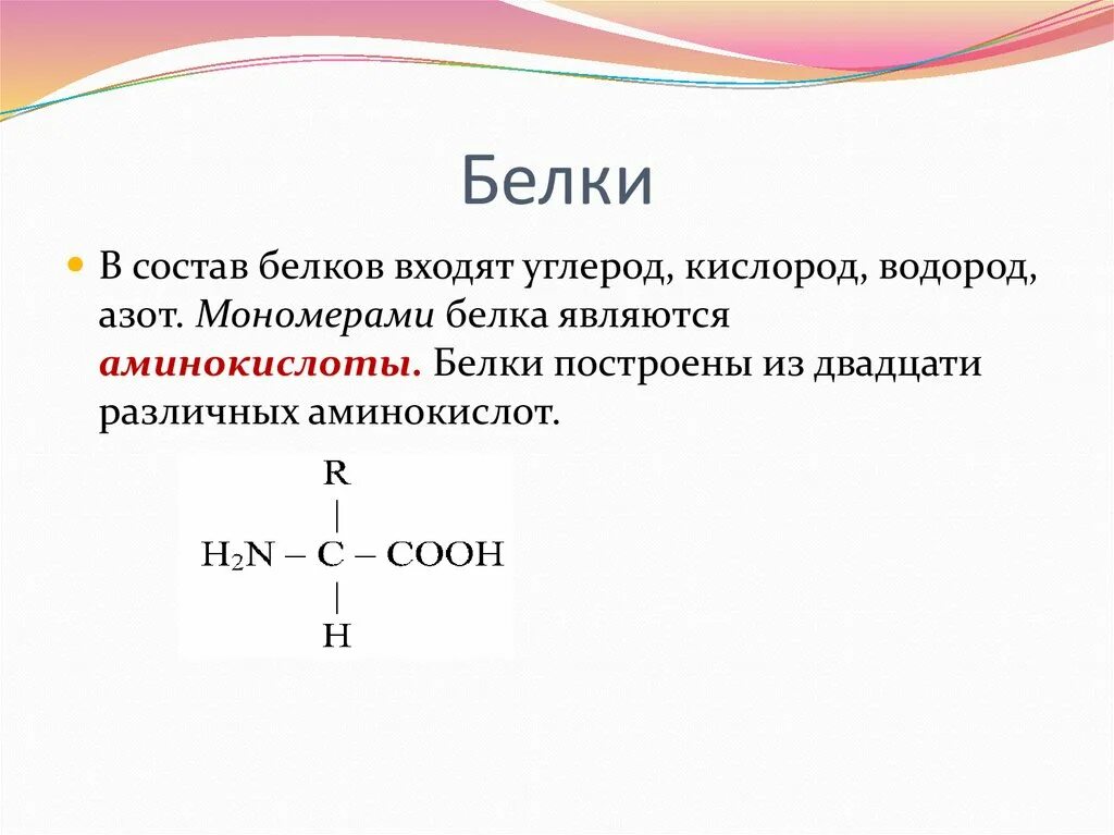 Состоят из углерода водорода кислорода. Мономерами белков являются аминокислоты. Азот углерод водород. Углерод водород кислород. Что является мономером белка.