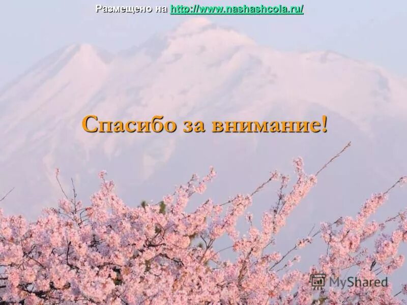 Благодарю вознесенский. Благодарю вознесенский