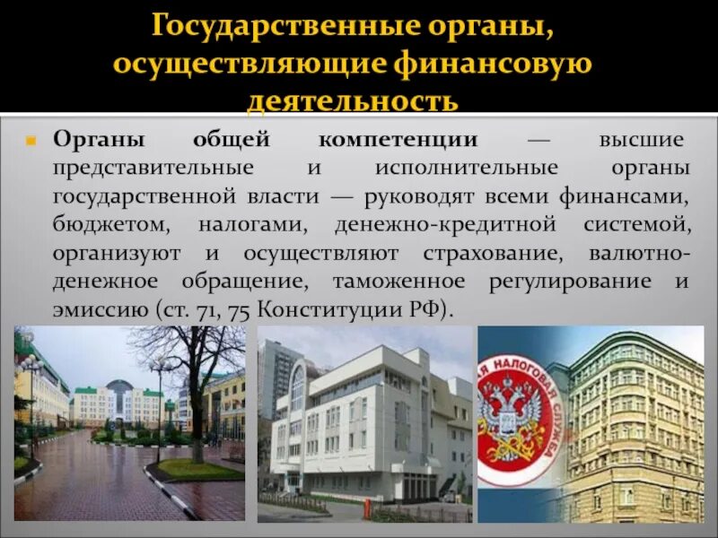 Система государственных органов осуществляющих финансовую деятельность. Органы общей компетенции финансовой деятельности. государственные органы осуществляющие финансовую деятельность. финансовые органы гос власти. органы власти осуществляющие финансовую деятельность в рф.