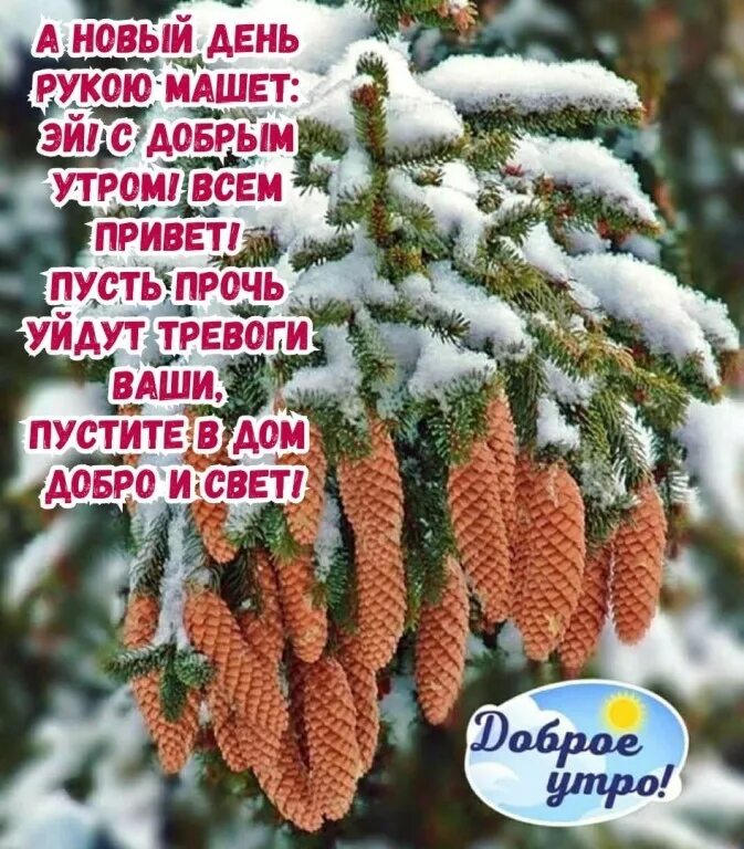 Зимние поздравления с добрым утром. С добрым январским утром среды. Доброго зимненего утрп. Зима солнце. Ранняя зима.