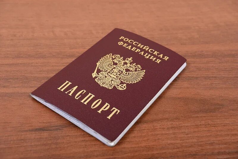 Который можно будет оформить по. Который можно будет оформить по