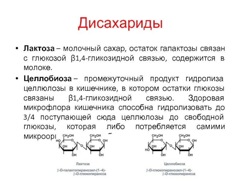 Ферментация лактозы. Дисахариды: сахароза, лактоза гидролиз. Строение дисахаридов биохимия. Глюкоза дисахарид. Дисахарид целлобиоза.