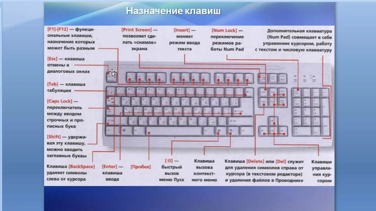 Про раскладка