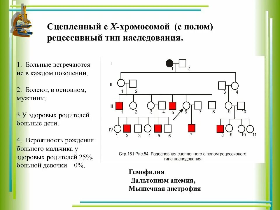 Рецессивный аутосомный ген в задаче. Рецессивный сцепленный с х хромосомой тип наследования родословной. генетическая схема наследования сцепленное с полом. родословная с аутосомно-доминантным типом наследования. аутосомно доминантный тип наследования 4 поколения.