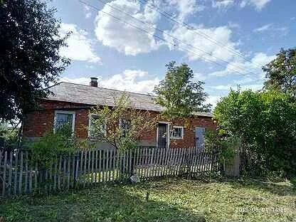 Село новики рязанская область