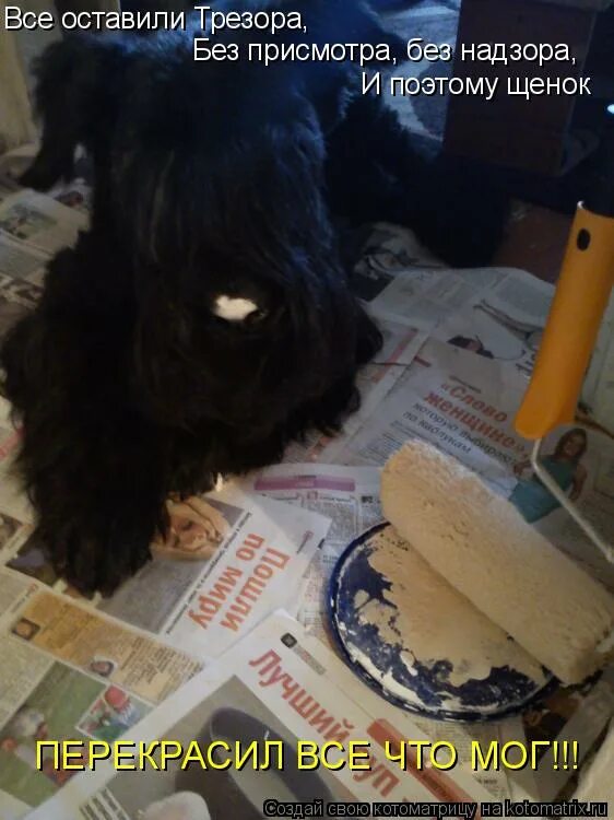 разорвал на кукле платье зайцу выдрал. "трезор стихи". трезора. трезор стихотворение михалкова. михалков с.