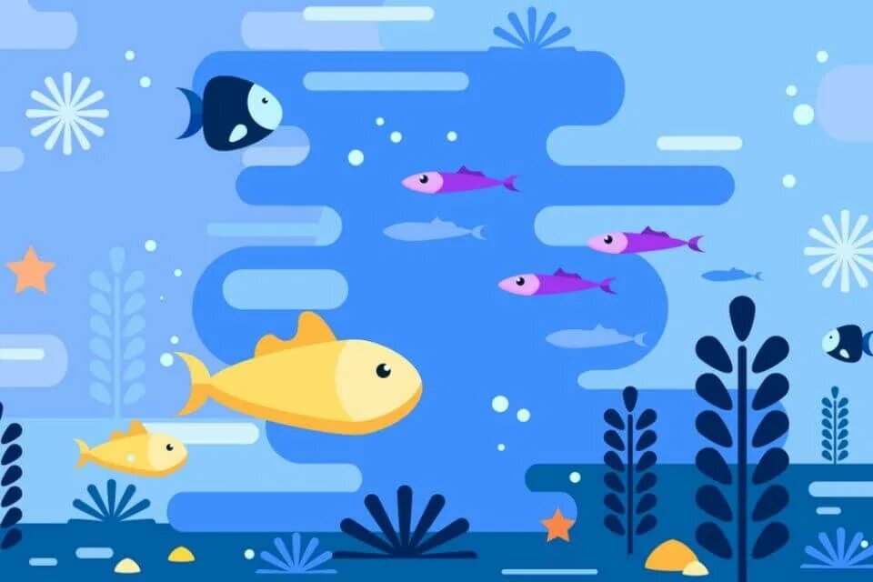 Fish rng codes
