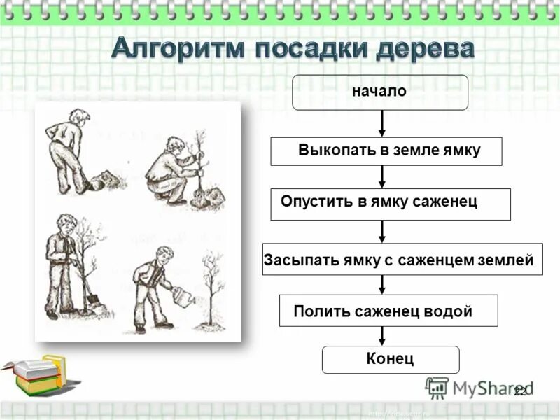 Схема 5 класс информатика. Алгоритм посадка дерева Информатика. Блок схема алгоритма посадки дерева. Линейный алгоритм посадки дерева. Линейный алгоритм это в информатике.