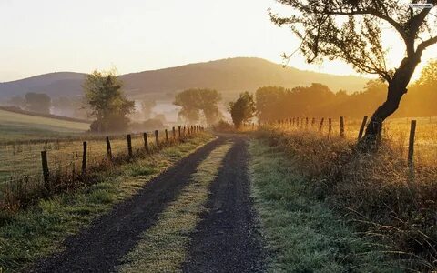 Country roads