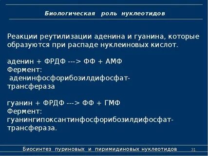 Роль нуклеотидов