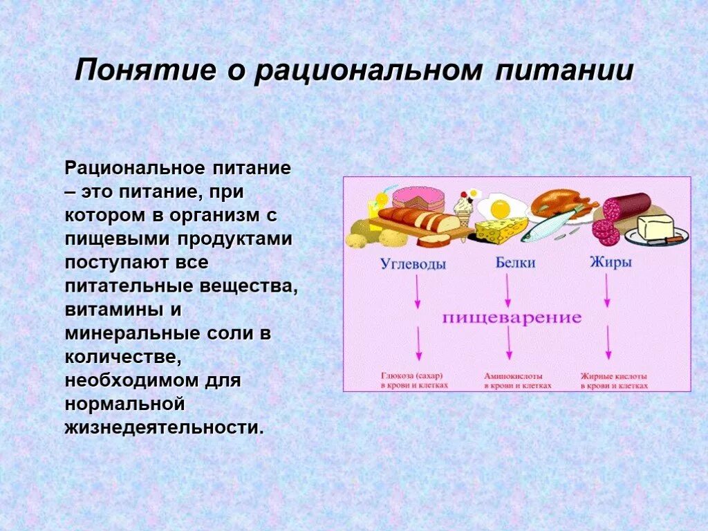 Объясните смысл понятия режим питания. Рациональное питание. Понятие рационального п. Понятие о питании. Рациональное питание это определение.