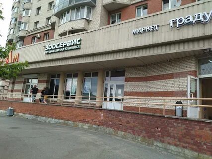 Энтузиаст санкт петербург