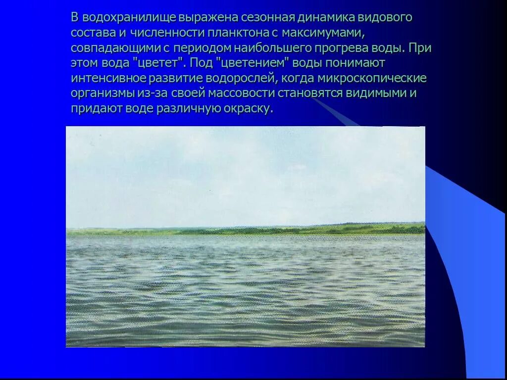 Видовой состав воды. Сообщение о водохранилище. Сурское водохранилище сообщение. «Цветение» воды водохранилищ в теплый период времени обусловлено:. Водохранилище символ в презентации.