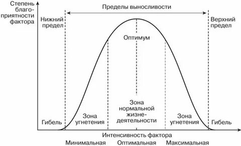 Интенсивность переживаний