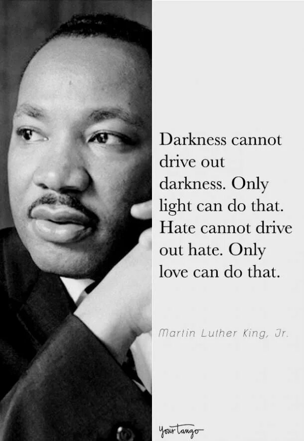 Darkness cannot Drive out Darkness, only Light can do that. - Martin Luther King, Jr.. World famous leaders.