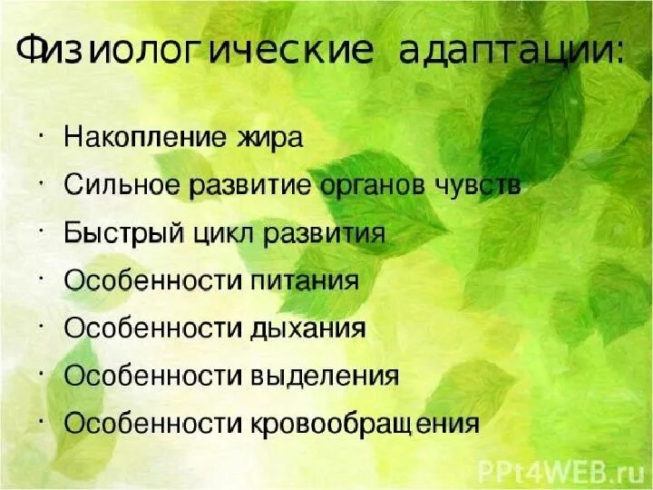 Какое значение адаптаций