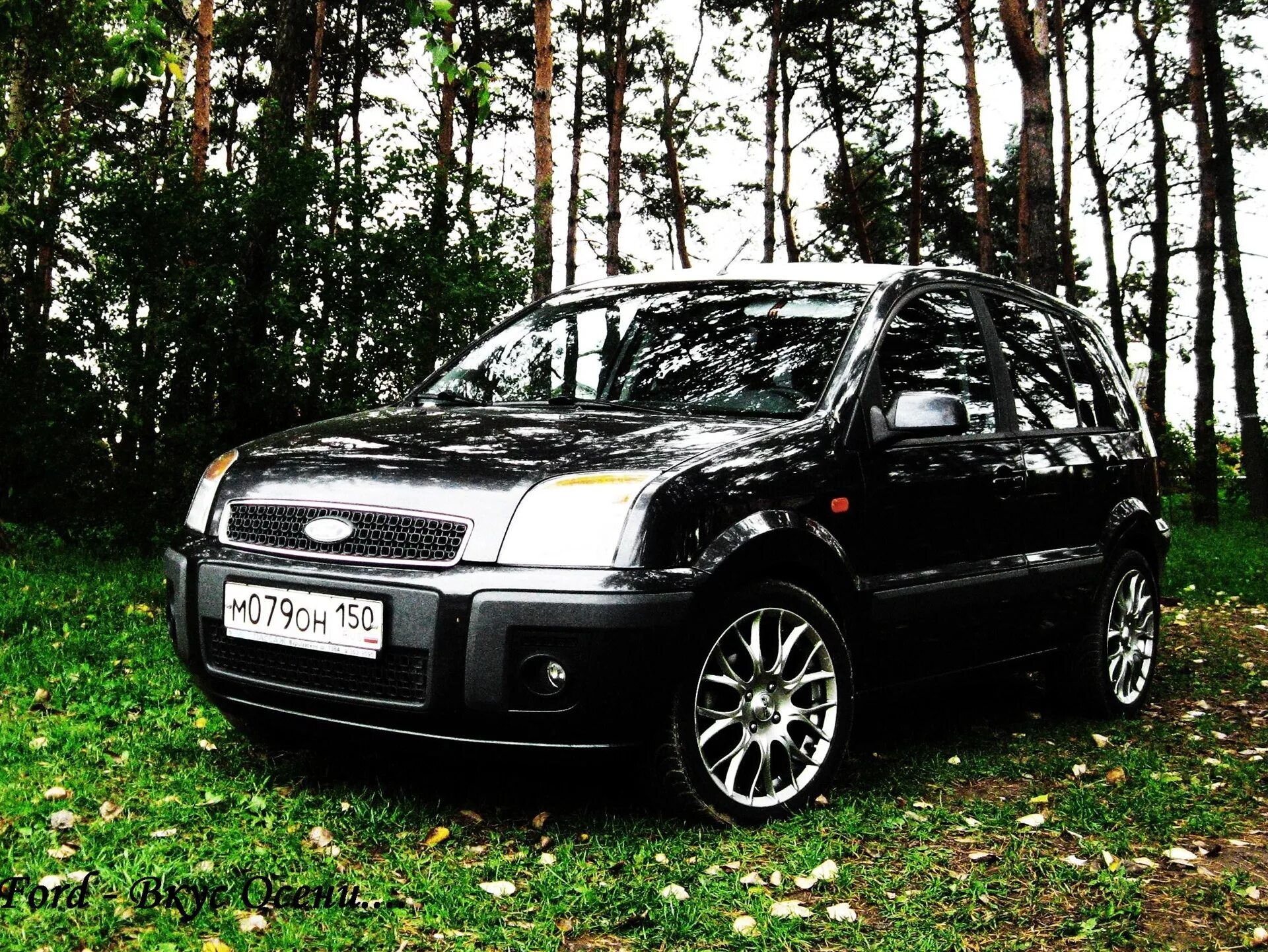 C1095 ford fusion. Форд фьюжн черный. ford fusion черный. черный форд фьюжн 2001. черный форд фьюжн 679.