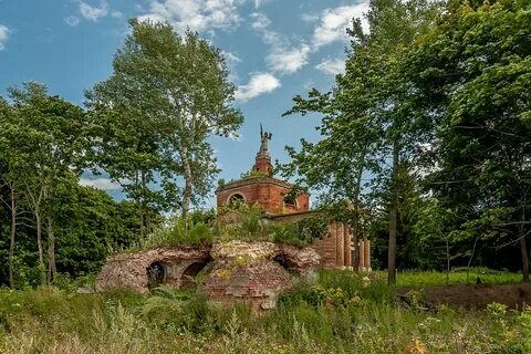 Тульская область 14 дней