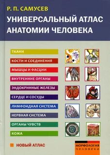 Атлас нормальной анатомии человека самусев липченко