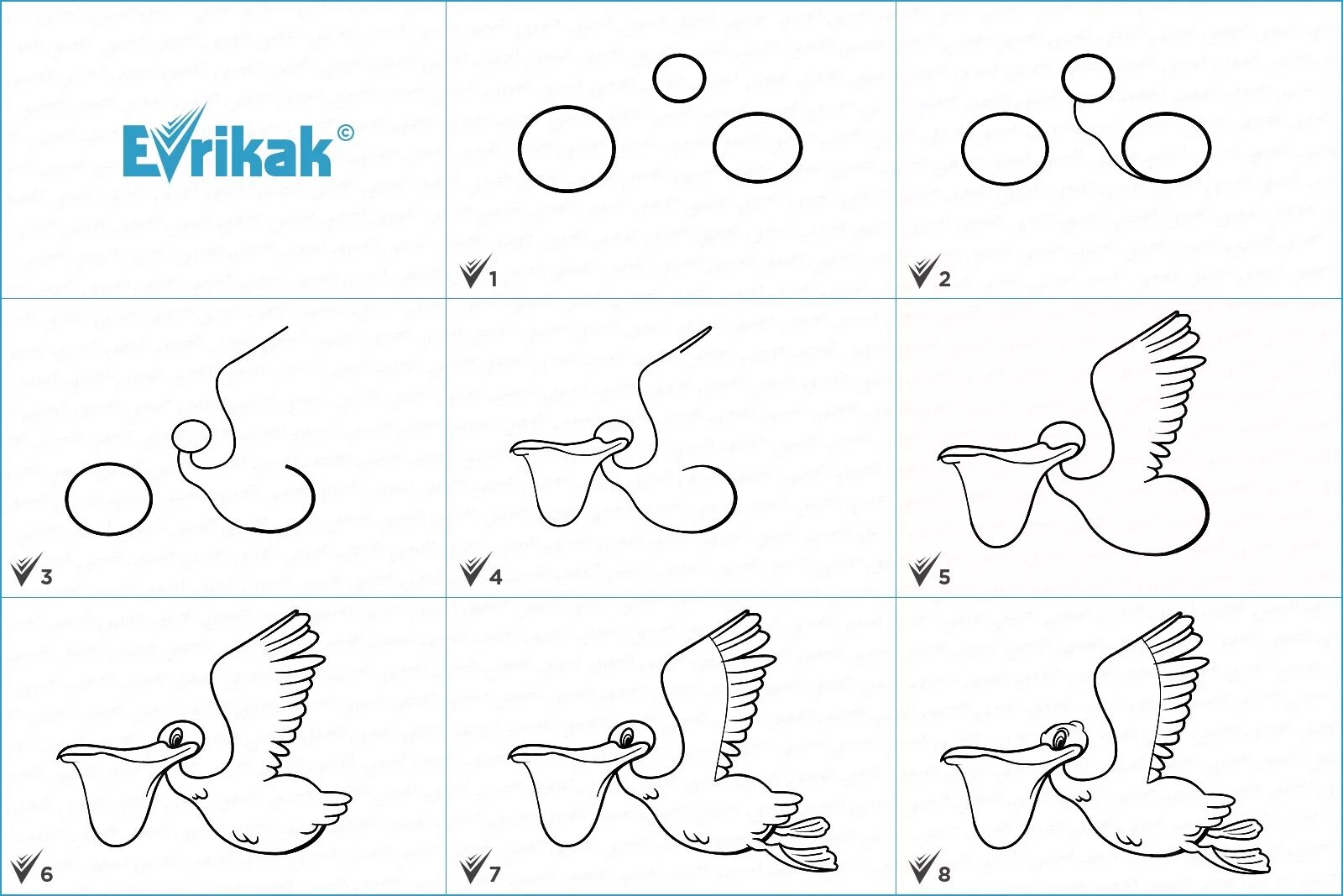 Рисунок птицы 5 класс. Поэтапное рисование птиц. Схема рисования птицы. Поэтапное рисование птицы в подготовительной группе. Поэтапное рисование птиц для детей.