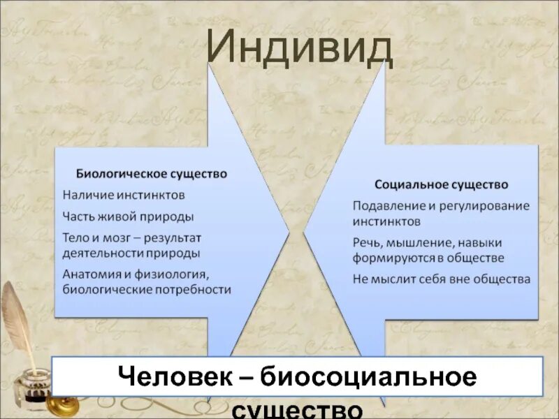 Индивид dual. Человек биосоциальное существо. индивид биосоциальное существо. индивид биологическое существо. индивид это человек, как биосоциальное существо.