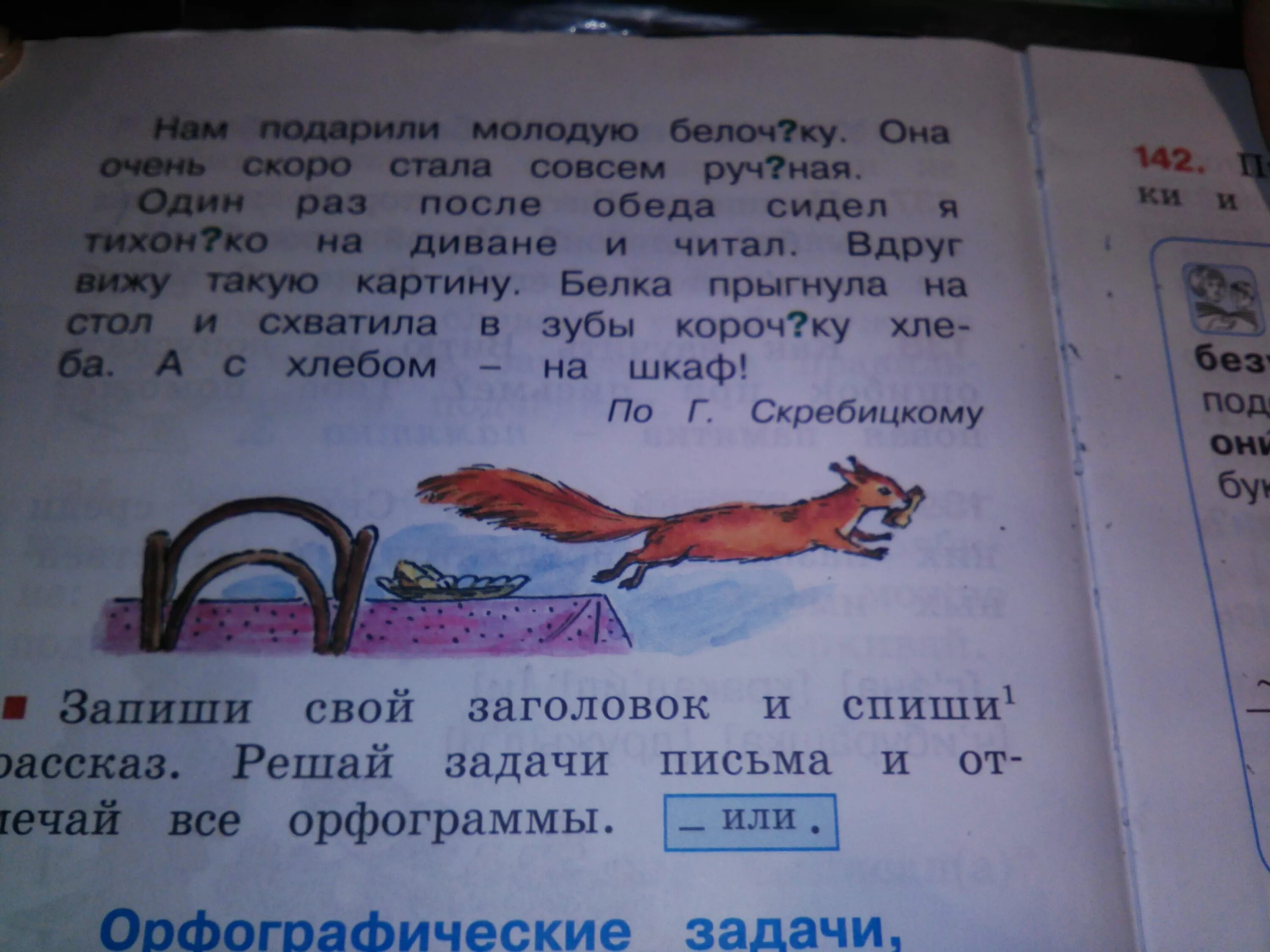 Сочинение описание белка 4 класс. Сочинение про белку. сочинение о белке 2 класс. смешные истории. описание белки 2 класс русский язык.