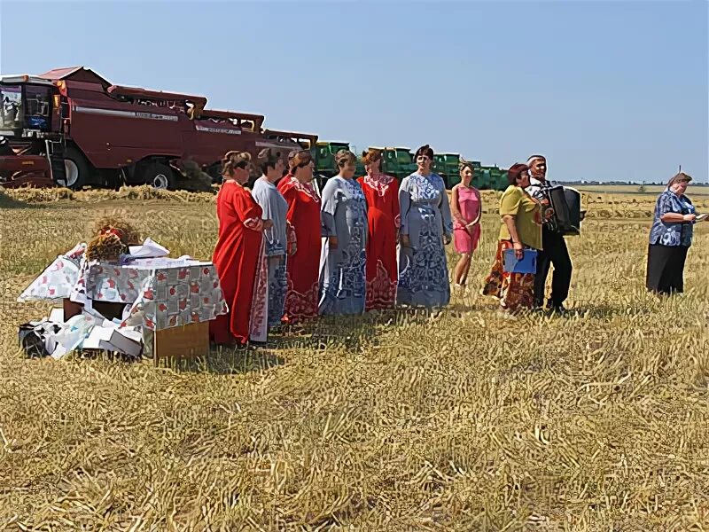 Погода в новоселках каширского. Погода в новоселках каширского. Погода в новоселках каширского. Погода в новоселках каширского. Кашира поселок новоселки.