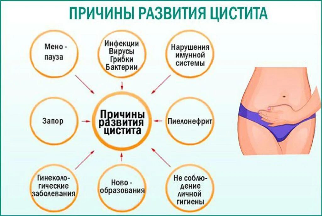 Частое мочеиспускание признак беременности