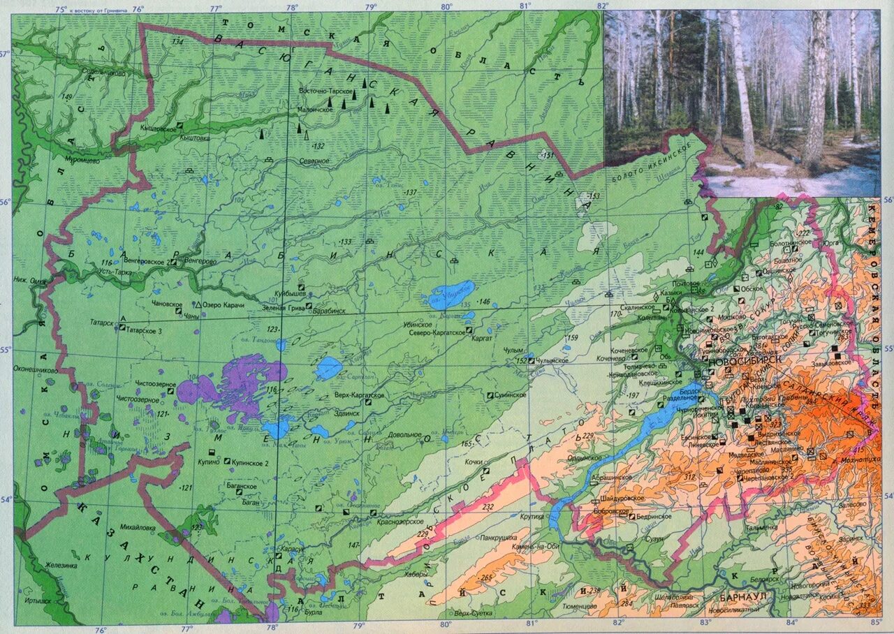 Физическая карта НСО Новосибирской области. Географическая карта Новосибирской области. Новосибирская обл карта физическая. Формы рельефа Новосибирской области.