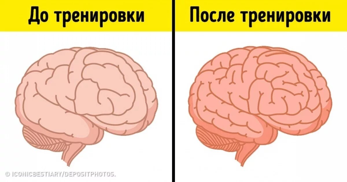 гимнастика мозга. упражнения для развития мозга. упрожнение для развитие мозга. упражнения для развития мозга и памяти. интересные упражнения для мозга.