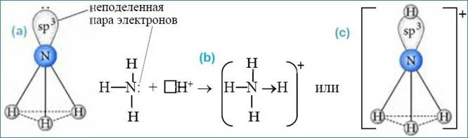 Пространственное строение молекул nh3. Nh3 строение молекулы. Строение молекулы аммиака nh3.. Схема образования молекулы аммиака. N2 nh3 t