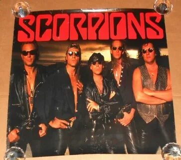 Am scorpions