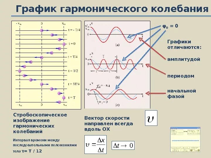 Фазы колебаний виды. График колебания физика построение. фаза колебаний на графиках. график колебаний как строить. график скорости гармонических колебаний.