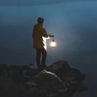 Шама шамов