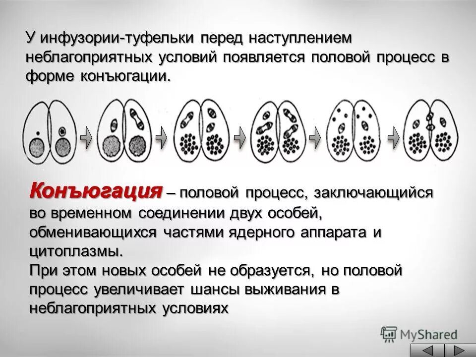 При наступлении неблагоприятных условий