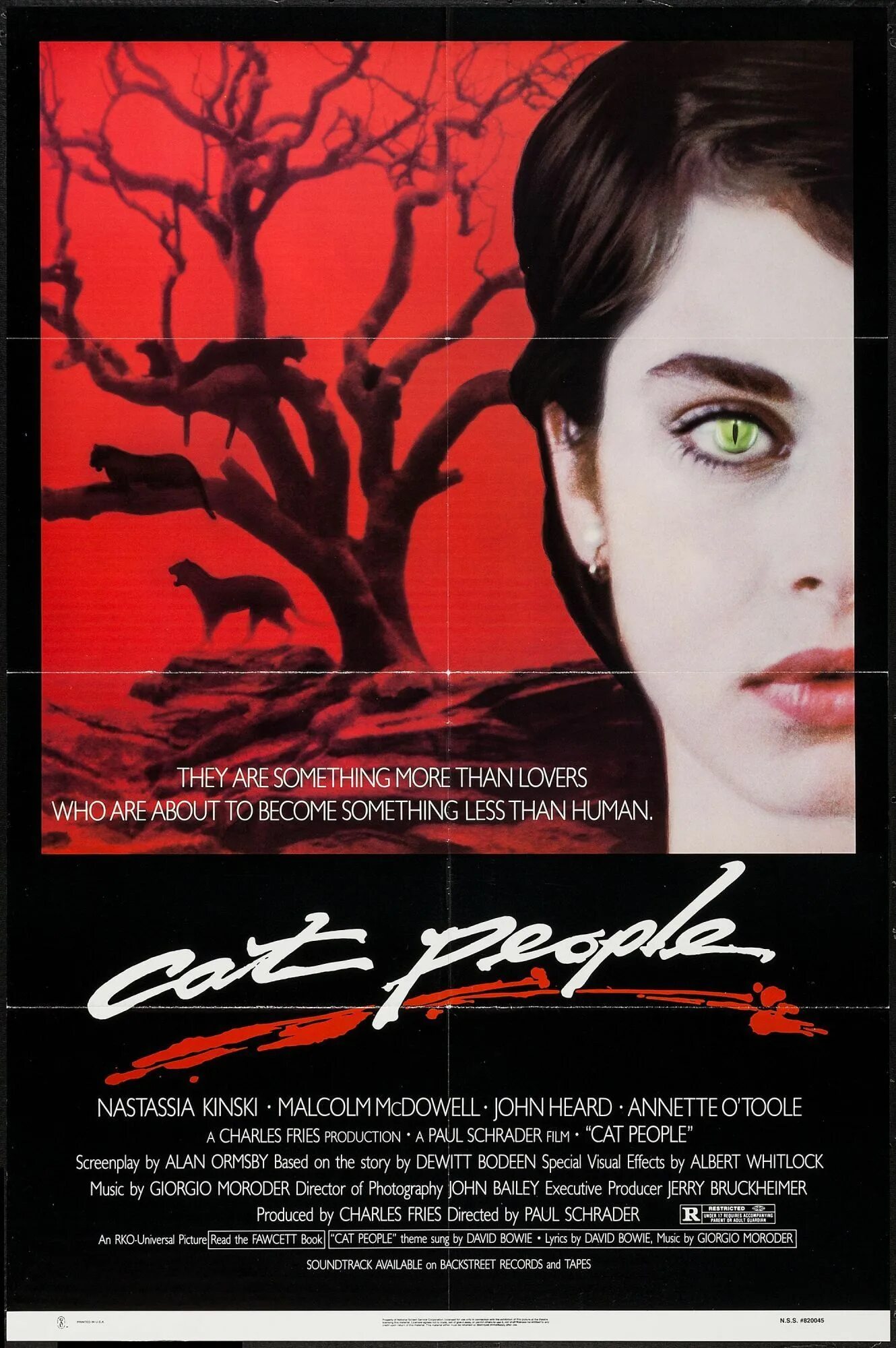 Дог дей и кэт на другие. Cat people перевод. Кошачий язык учить. Люди которые любят кошек. Cat person or dog person.