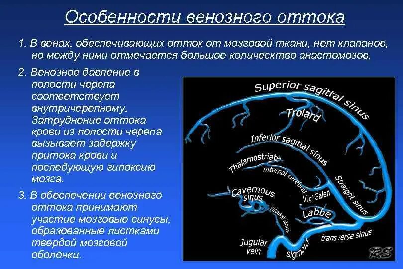 Отток крови от головного мозга. Нарушение оттока венозной крови головного мозга. Отток крови от головного мозга венозные синусы. Особенности венозного оттока от головы. Особенности венозного оттока из полости черепа.