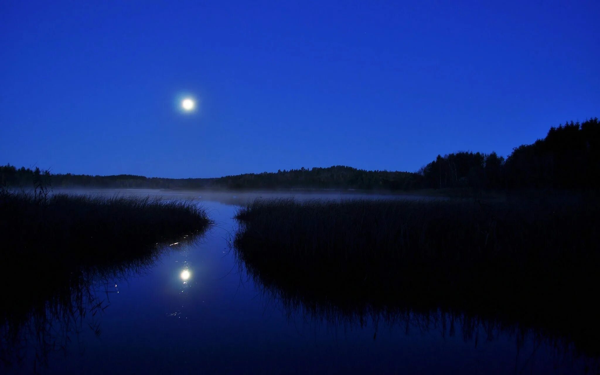 Река смотрящие лун. Река ночью. Ночь Луна река. Пейзаж ночь. Природа ночью.