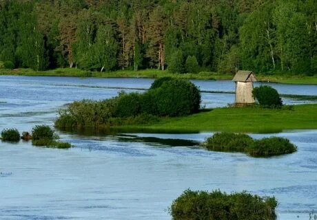 Заповедник в пскове