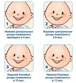 Зубы в 5 месяцев