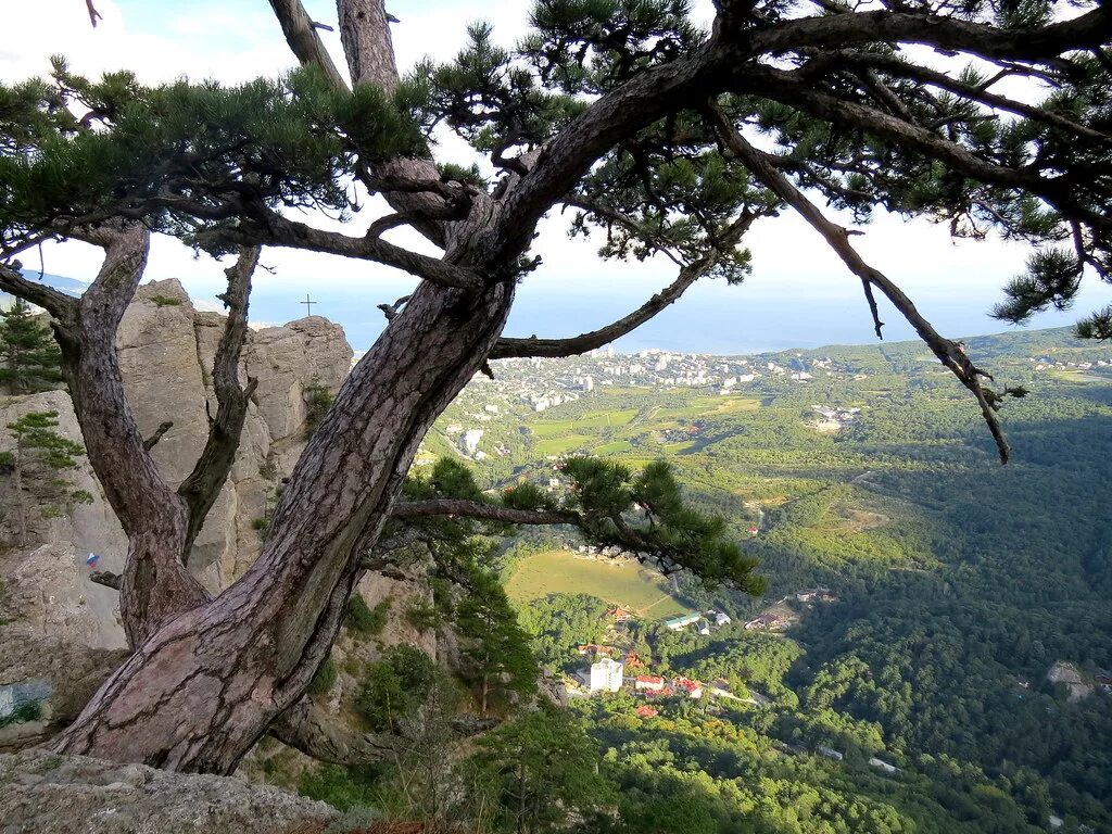 Тропа в ялте. Боткинская тропа. Тропа Боткина в Крыму. Никитская тропа Крым. Боткинская тропа в Крыму ставрикая.