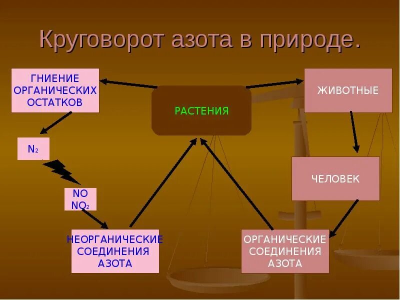 Азот составляет