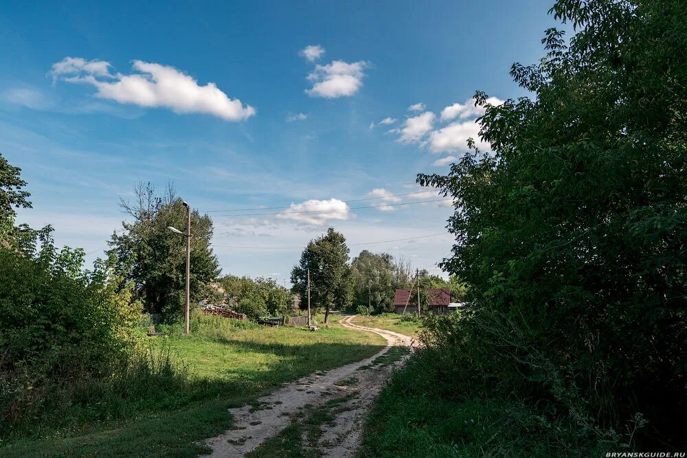 Погода семцы. Село Первомайское Почепский район Брянская область. Посёлок Первомайский Брянской области Почепский район. Село Семцы Брянская область. Село Рогово Почепский район.