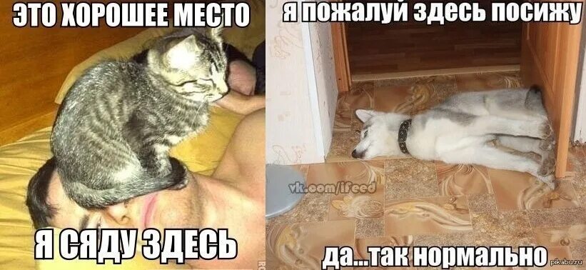 Пожалуй предложение