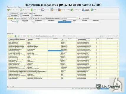 Программа лис