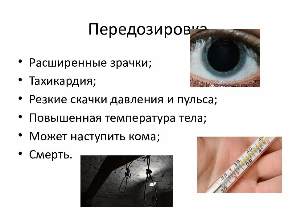 Зрачки и пульс проверить. Зрачки и пульс проверить